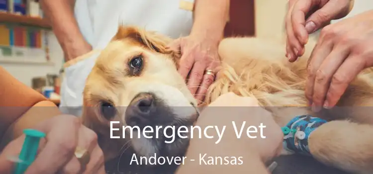 Emergency Vet Andover - Kansas