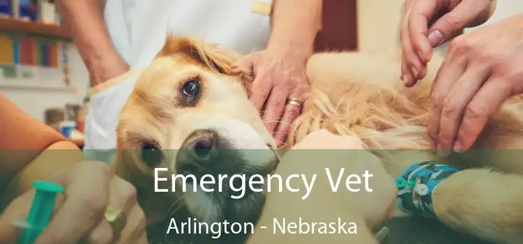 Emergency Vet Arlington - Nebraska