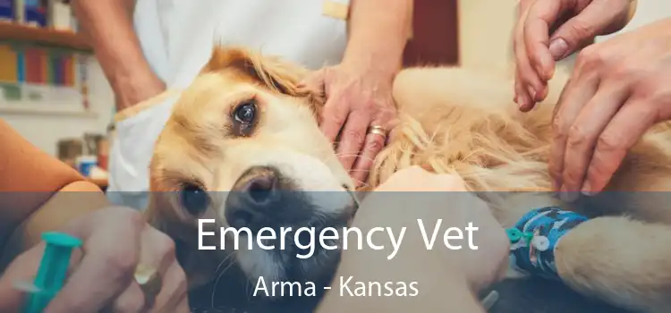 Emergency Vet Arma - Kansas