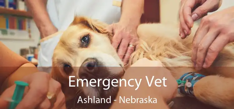 Emergency Vet Ashland - Nebraska