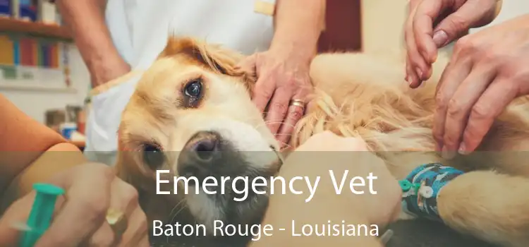 Emergency Vet Baton Rouge - Louisiana