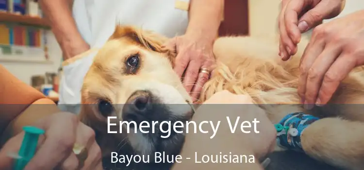 Emergency Vet Bayou Blue - Louisiana