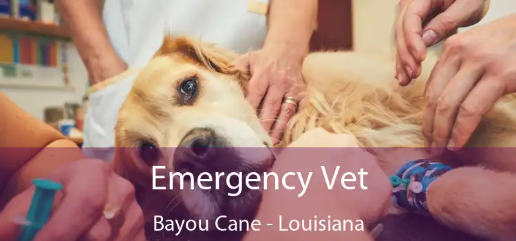 Emergency Vet Bayou Cane - Louisiana