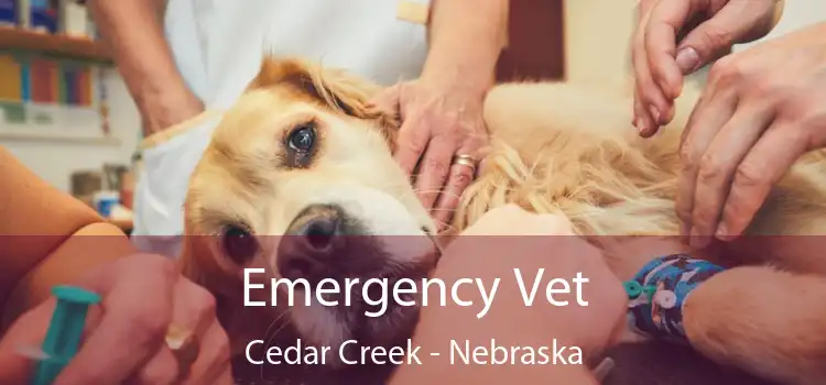 Emergency Vet Cedar Creek - Nebraska