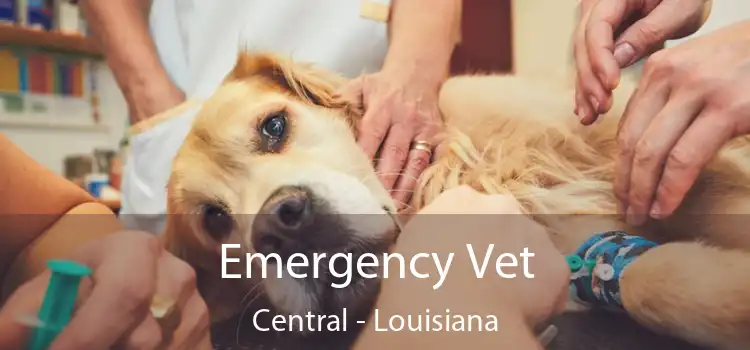 Emergency Vet Central - Louisiana