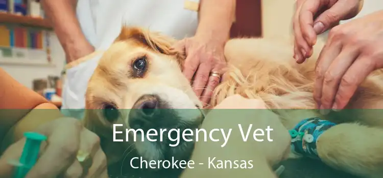 Emergency Vet Cherokee - Kansas