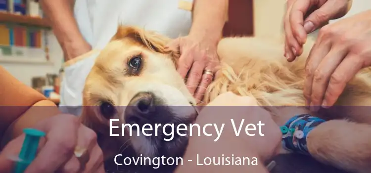 Emergency Vet Covington - Louisiana