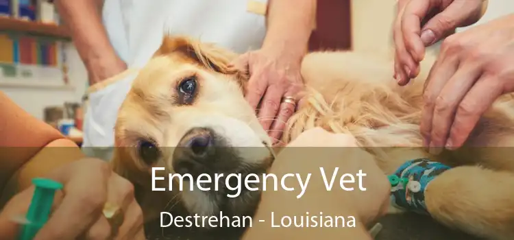 Emergency Vet Destrehan - Louisiana