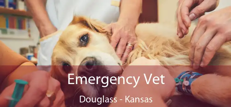 Emergency Vet Douglass - Kansas