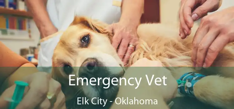 Emergency Vet Elk City - Oklahoma