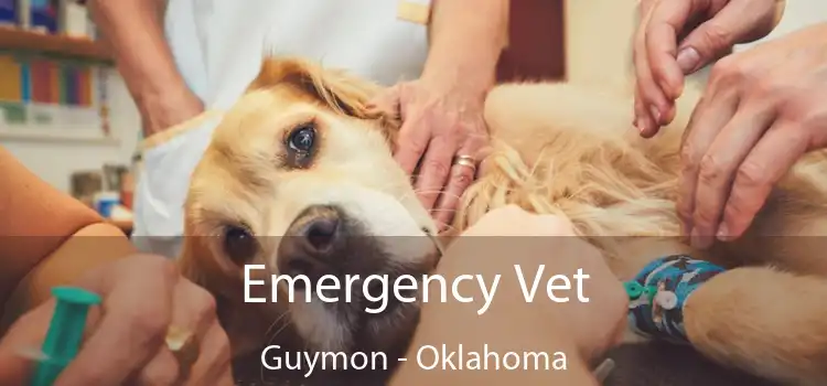 Emergency Vet Guymon - Oklahoma