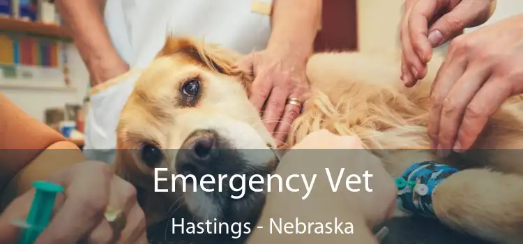 Emergency Vet Hastings - Nebraska