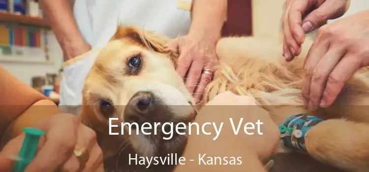 Emergency Vet Haysville - Kansas