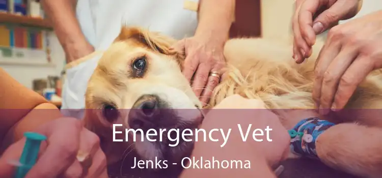 Emergency Vet Jenks - Oklahoma