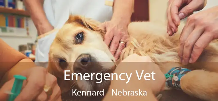 Emergency Vet Kennard - Nebraska