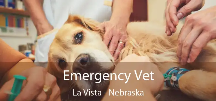 Emergency Vet La Vista - Nebraska