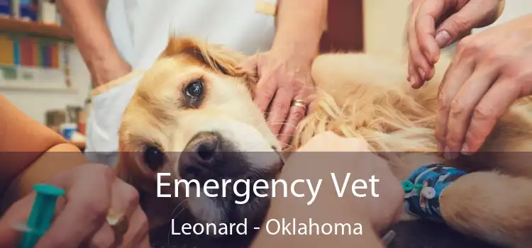 Emergency Vet Leonard - Oklahoma