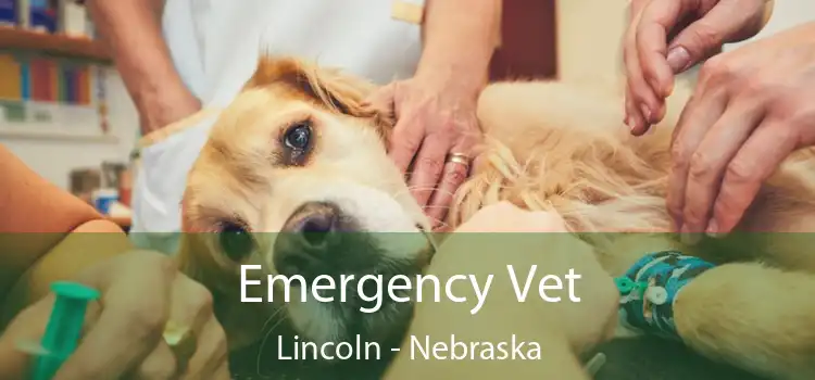 Emergency Vet Lincoln - Nebraska