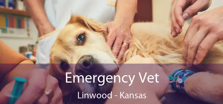 Emergency Vet Linwood - Kansas