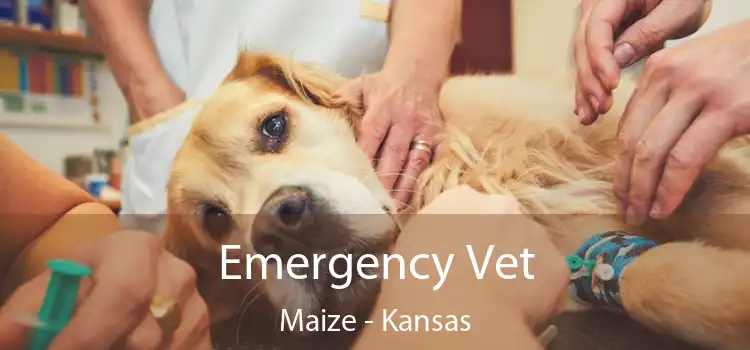 Emergency Vet Maize - Kansas