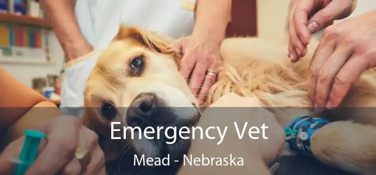 Emergency Vet Mead - Nebraska