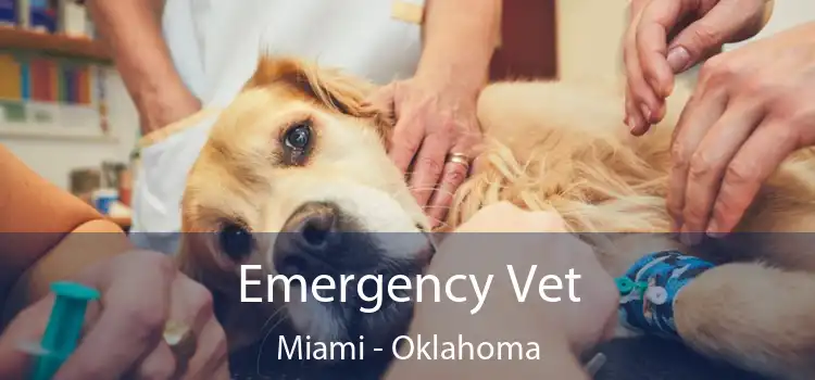 Emergency Vet Miami - Oklahoma