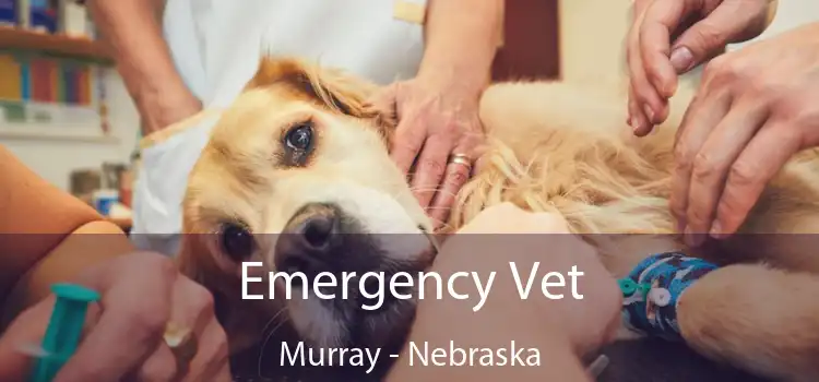 Emergency Vet Murray - Nebraska