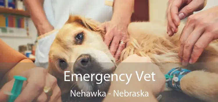 Emergency Vet Nehawka - Nebraska