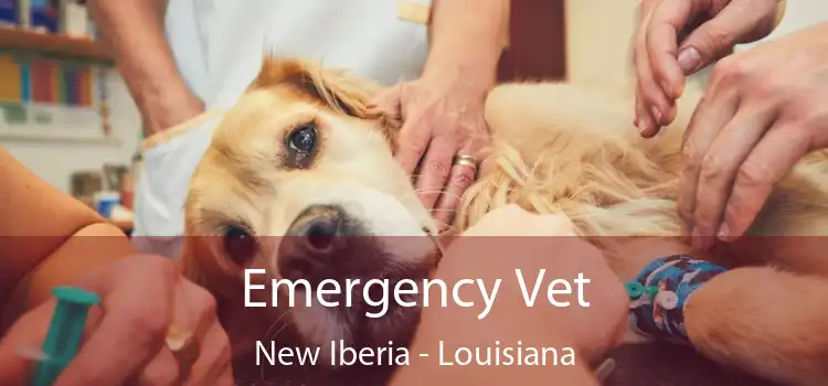 Emergency Vet New Iberia - Louisiana