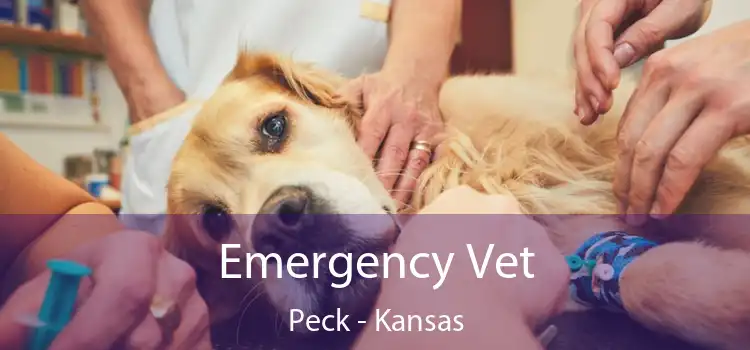 Emergency Vet Peck - Kansas