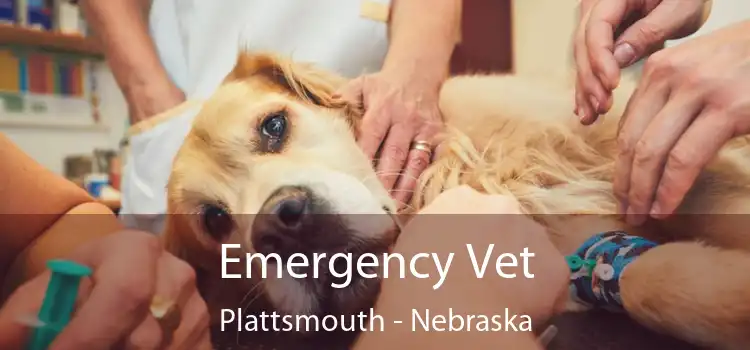 Emergency Vet Plattsmouth - Nebraska