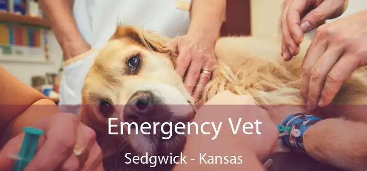 Emergency Vet Sedgwick - Kansas