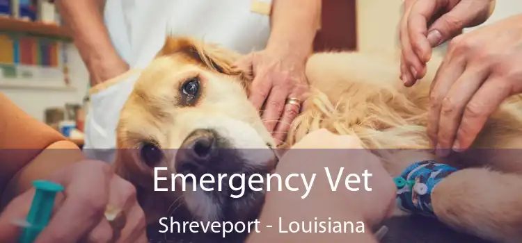 Emergency Vet Shreveport - Louisiana