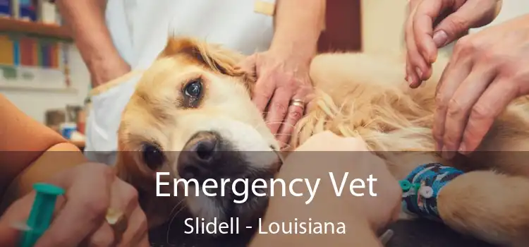 Emergency Vet Slidell - Louisiana