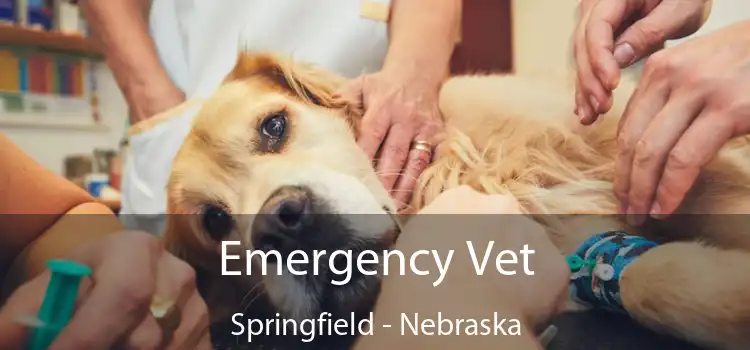 Emergency Vet Springfield - Nebraska