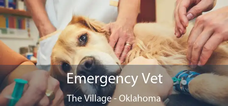 Emergency Vet The Village - Oklahoma