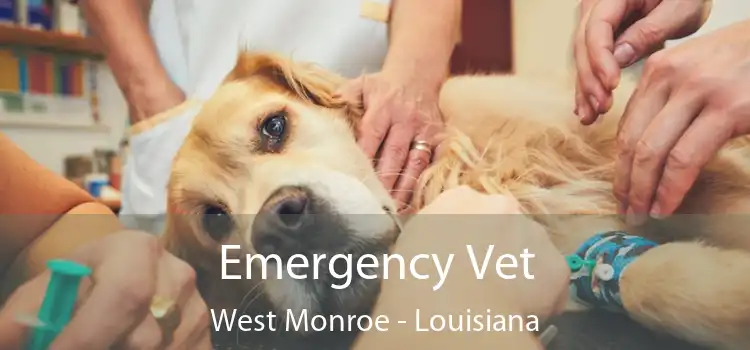 Emergency Vet West Monroe - Louisiana