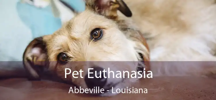 Pet Euthanasia Abbeville - Louisiana