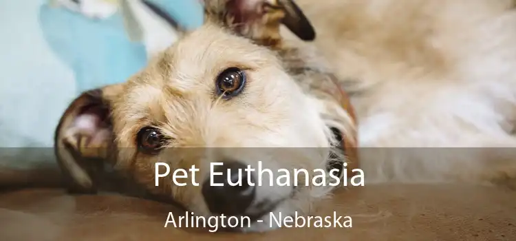 Pet Euthanasia Arlington - Nebraska