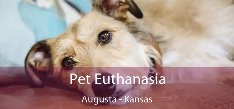 Pet Euthanasia Augusta - Kansas