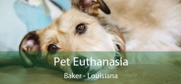 Pet Euthanasia Baker - Louisiana