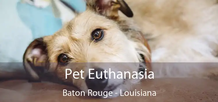 Pet Euthanasia Baton Rouge - Louisiana