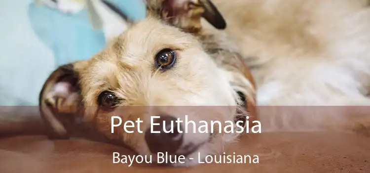 Pet Euthanasia Bayou Blue - Louisiana