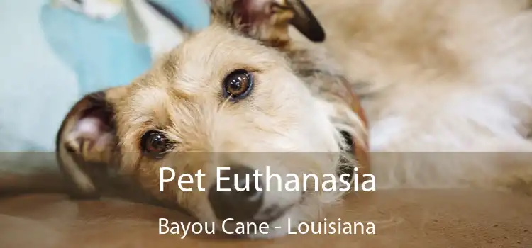 Pet Euthanasia Bayou Cane - Louisiana