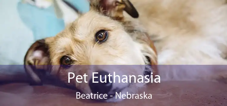 Pet Euthanasia Beatrice - Nebraska