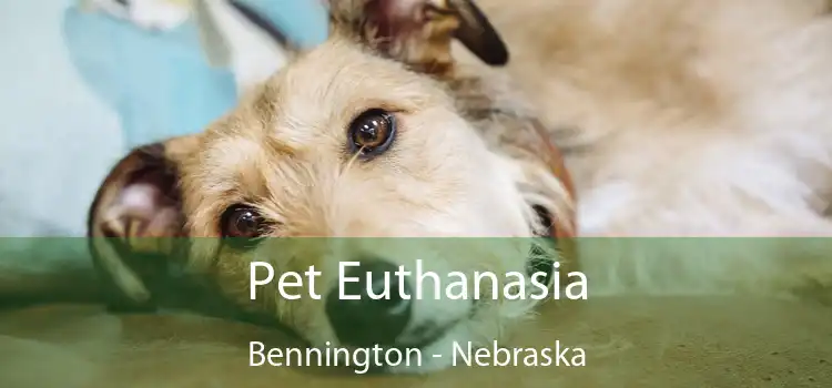 Pet Euthanasia Bennington - Nebraska