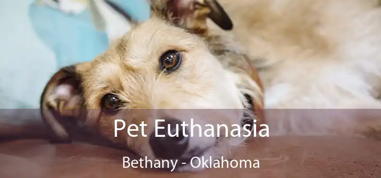 Pet Euthanasia Bethany - Oklahoma