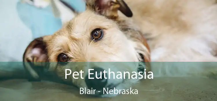 Pet Euthanasia Blair - Nebraska