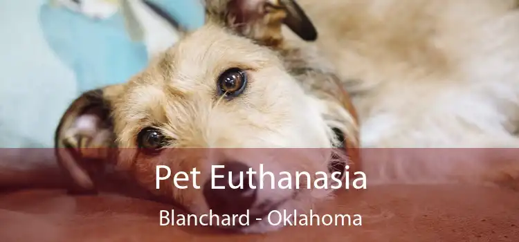 Pet Euthanasia Blanchard - Oklahoma