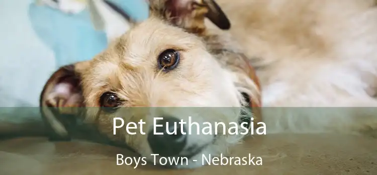 Pet Euthanasia Boys Town - Nebraska